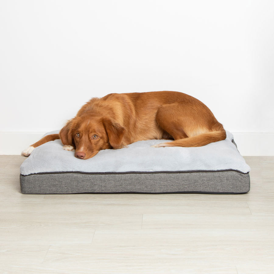 Wainwright's Self Warming Dog Bed Grey Medium
