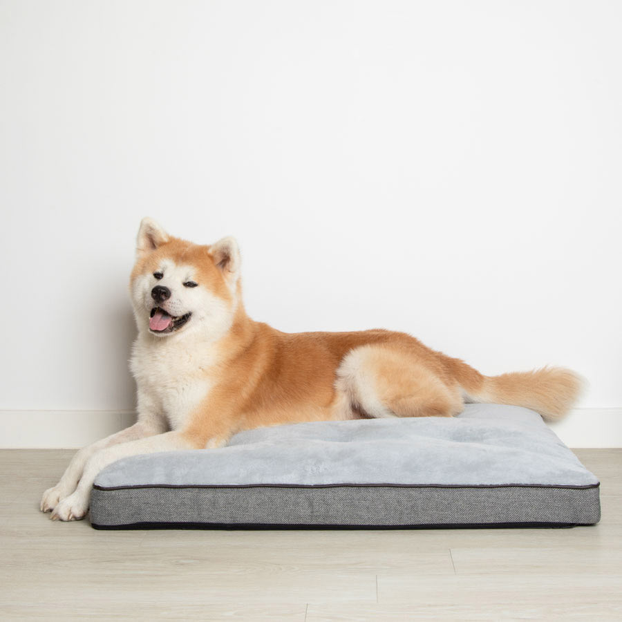 Wainwright's Self Warming Dog Bed Grey Large