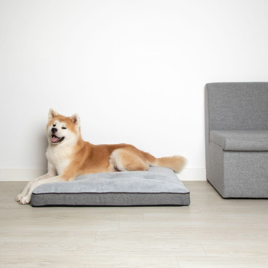 Wainwright's Self Warming Dog Bed Grey Large