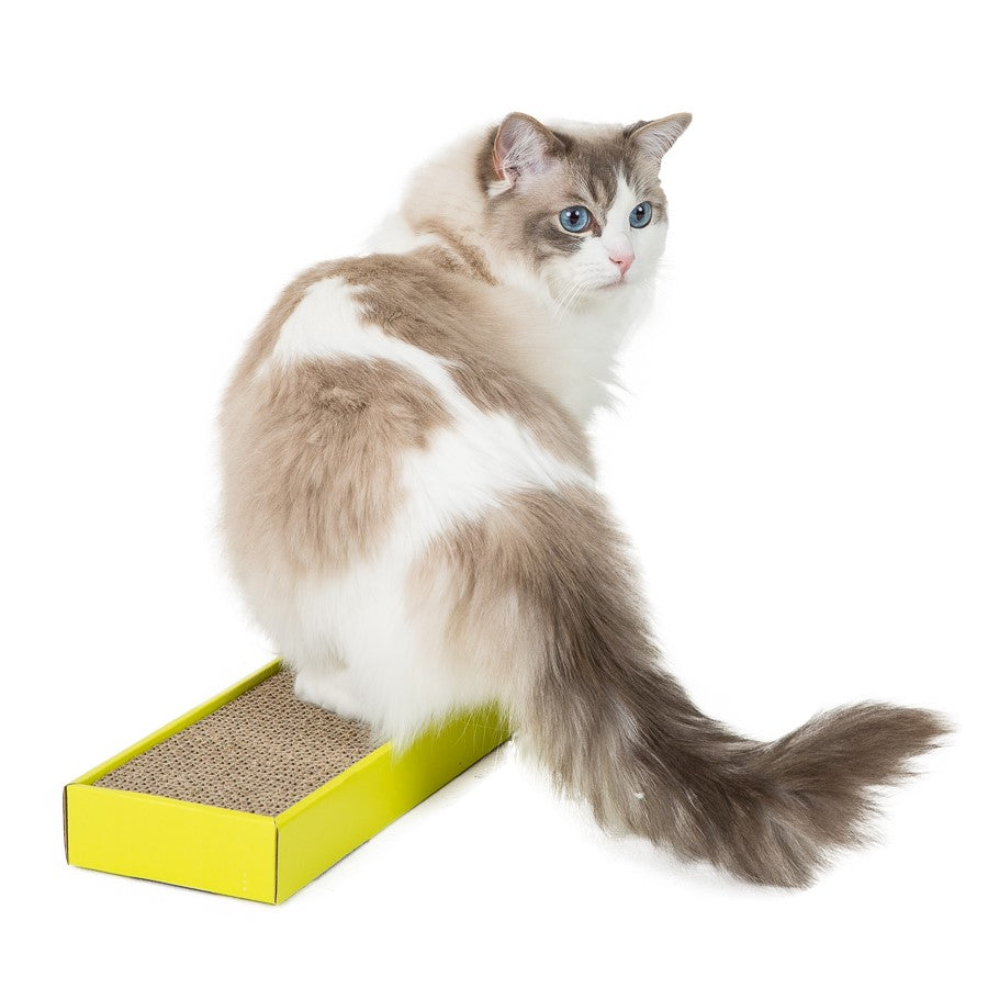 Pets at Home Just For Kitten Catnip Cat Scratcher