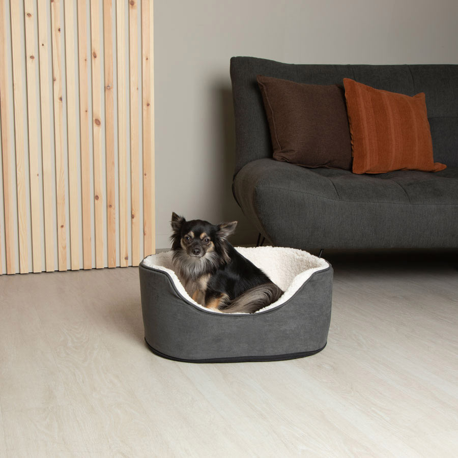 Pets at Home Teddy Oval Dog Bed Dark Grey