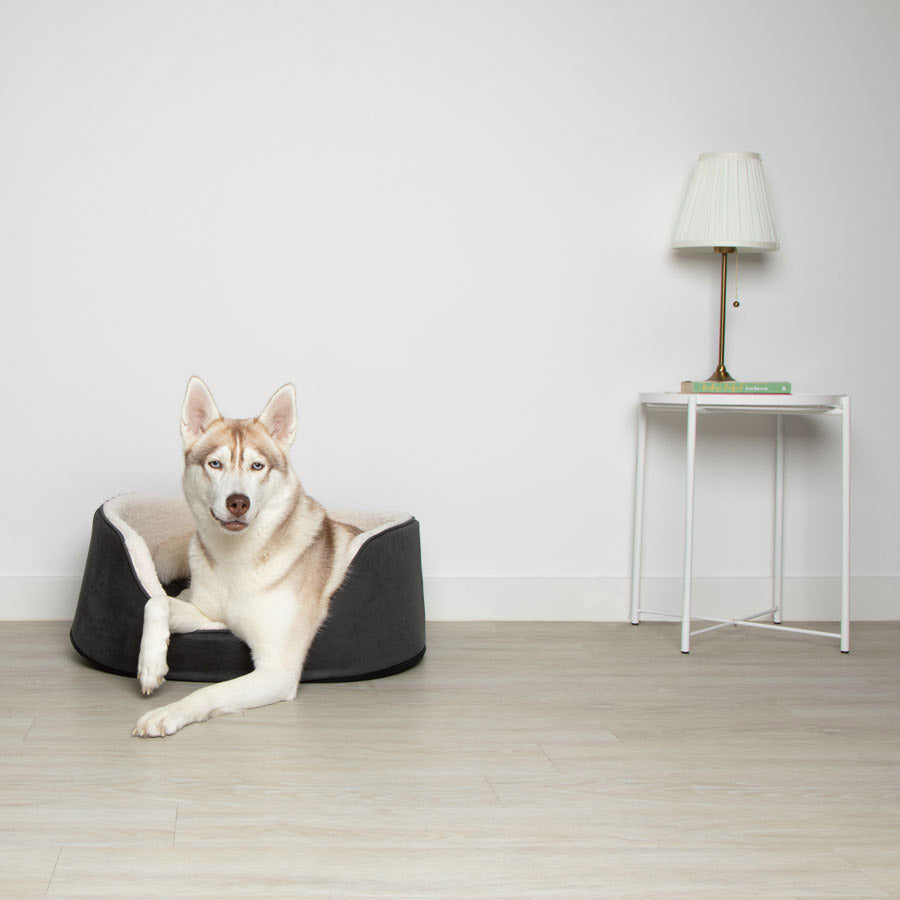 Pets at Home Teddy Oval Dog Bed Dark Grey