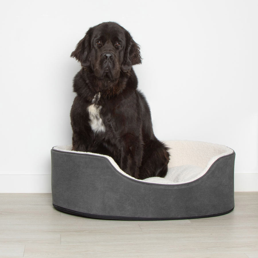 Pets at Home Teddy Oval Dog Bed Dark Grey