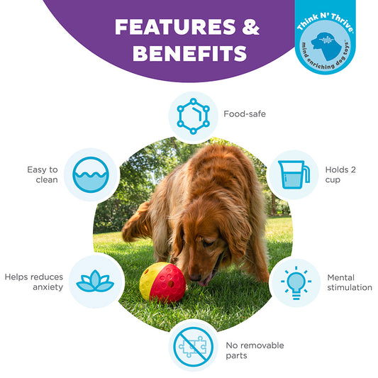 Nina Ottosson Interactive Treat Dispensing Dog Puzzle Toy Large