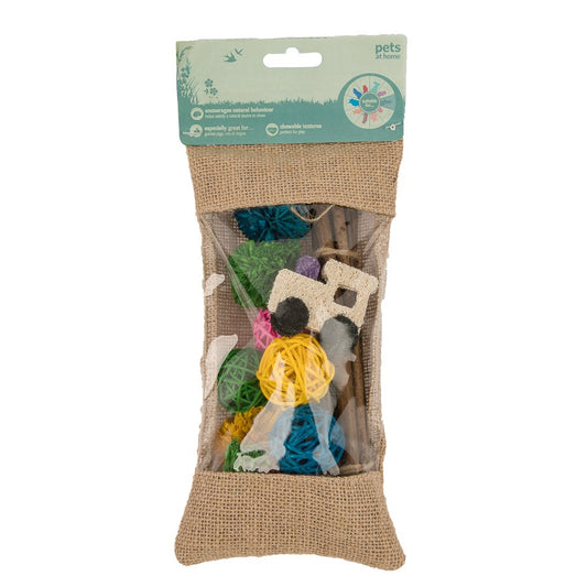 Pets at Home Gnaw Small Animal Chew Toy