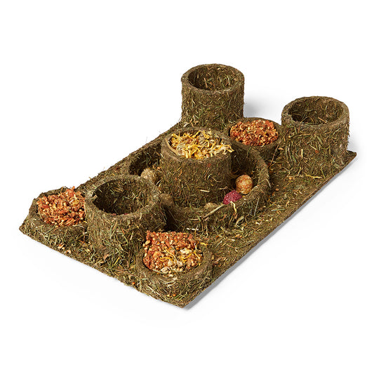 Woodlands Hide and Treat Maze Small Animal Game 275g