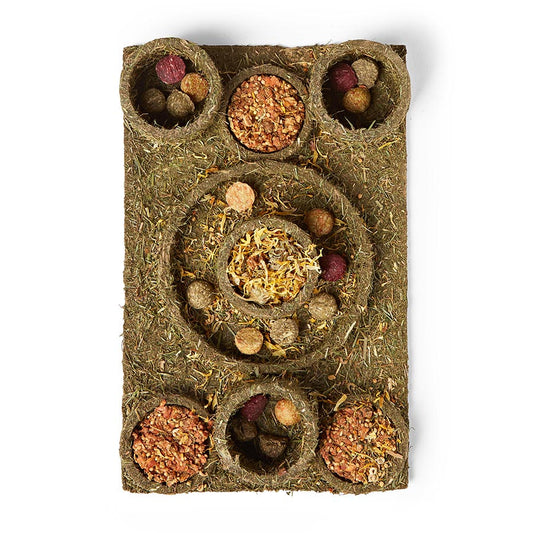 Woodlands Hide and Treat Maze Small Animal Game 275g