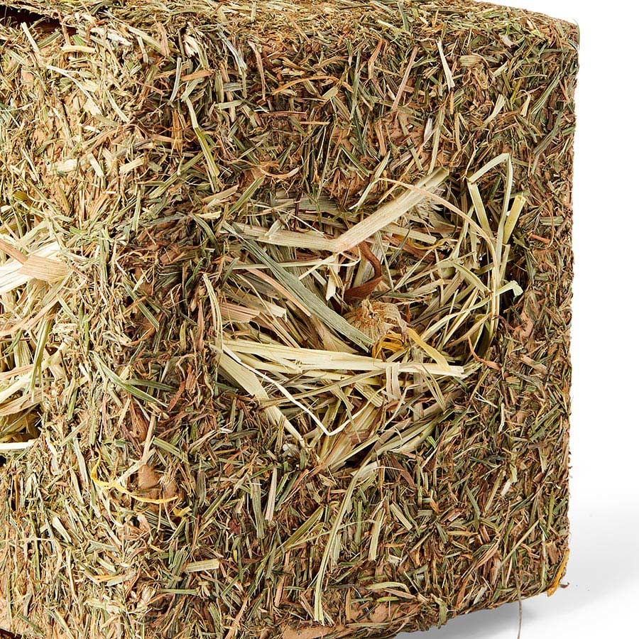 Pets at Home Small Animal Hay Box Medium