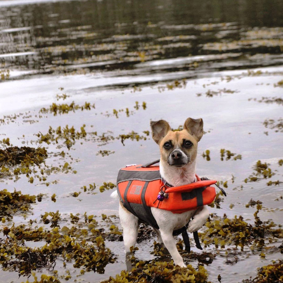 K9 Pursuits Float Coat Dog Life Jacket Orange