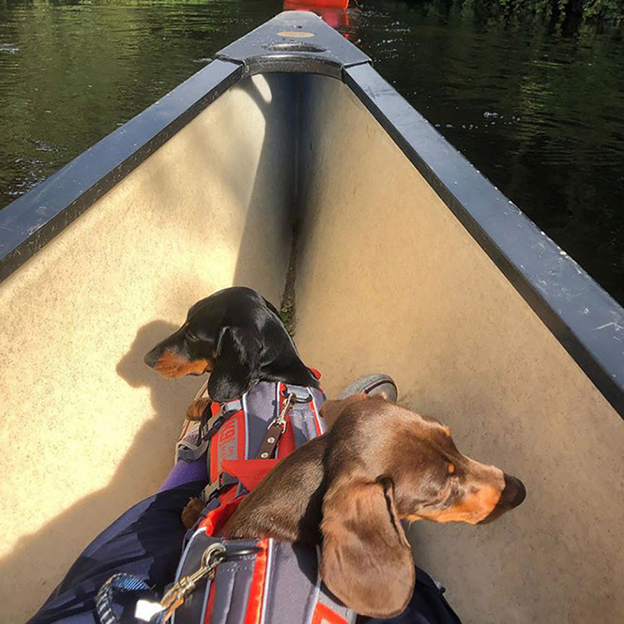 K9 Pursuits Float Coat Dog Life Jacket Orange