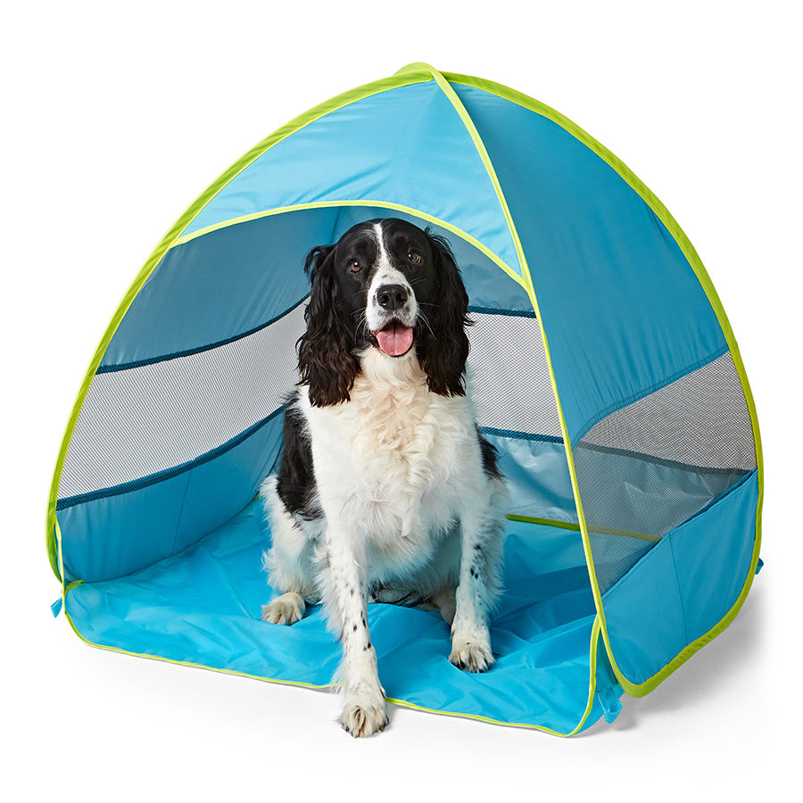 Sunny Daze Pop-Up Dog Shelter Blue Large