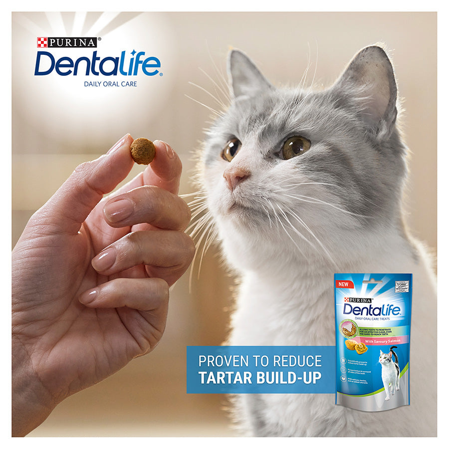 Dentalife Cat Dental Treats Salmon 40g