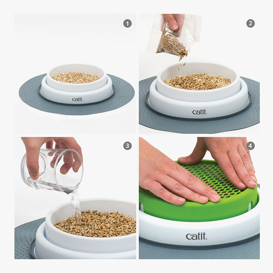 Catit Senses 2.0 Cat Grass Kit 3 Pack