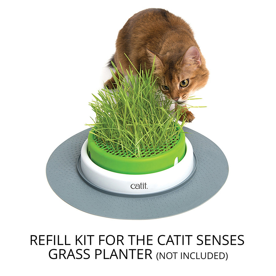 Catit Senses 2.0 Cat Grass Kit 3 Pack