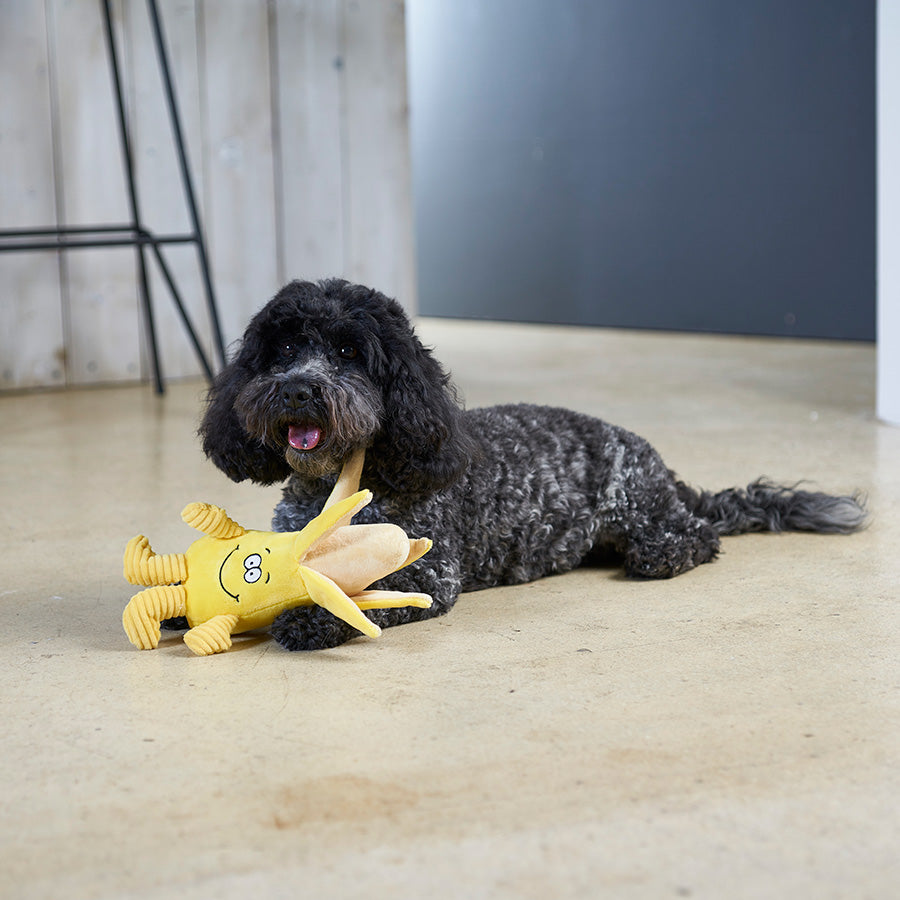 Pets at Home Cord Banana Squeaky Dog Toy