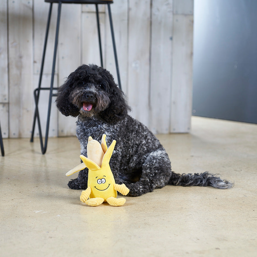 Pets at Home Cord Banana Squeaky Dog Toy