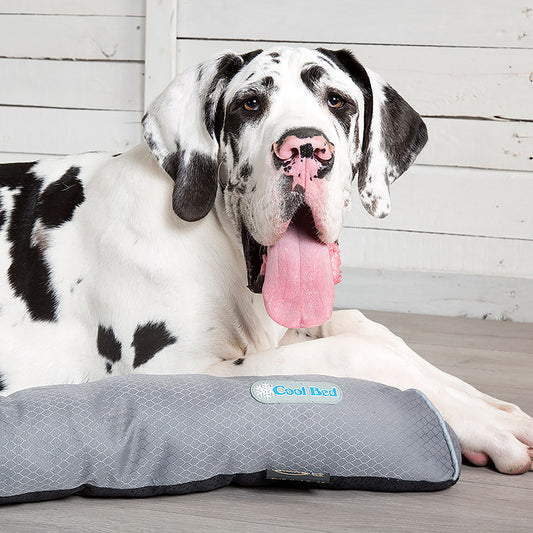 Scruffs Cool Dog Bed Grey