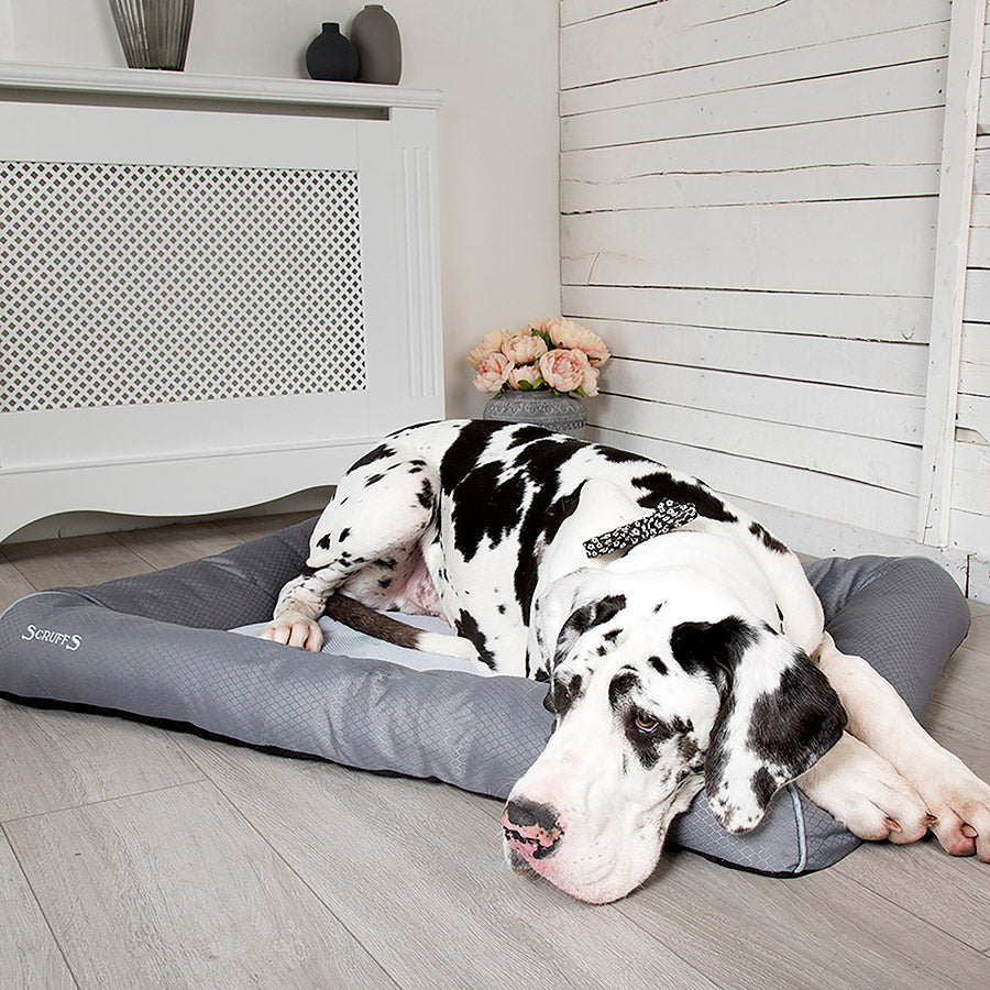 Scruffs Cool Dog Bed Grey