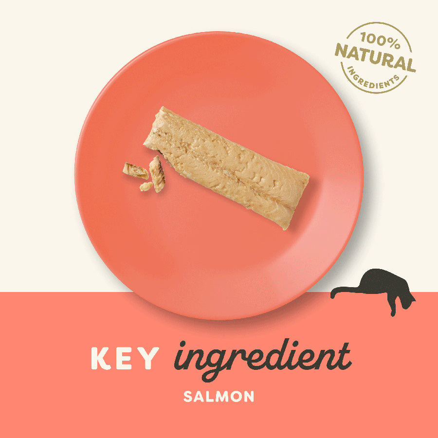 Applaws Natural Adult Cat Treat Salmon Fillet 30g