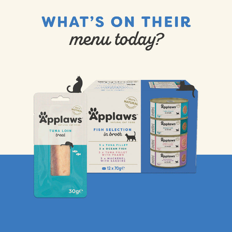 Applaws Natural Adult Cat Treat Salmon Fillet 30g