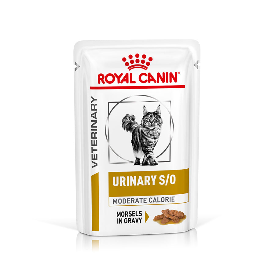Royal Canin Veterinary Urinary S/O Moderate Calorie Adult Wet Cat Food 48x85g