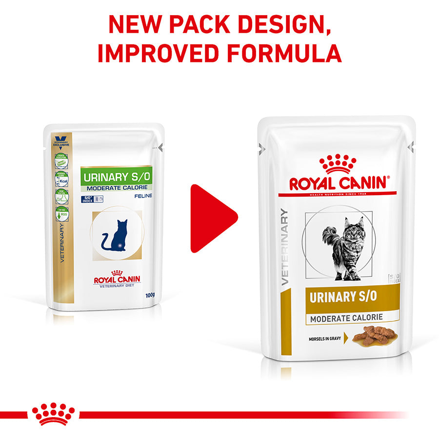 Royal Canin Veterinary Urinary S/O Moderate Calorie Adult Wet Cat Food 48x85g