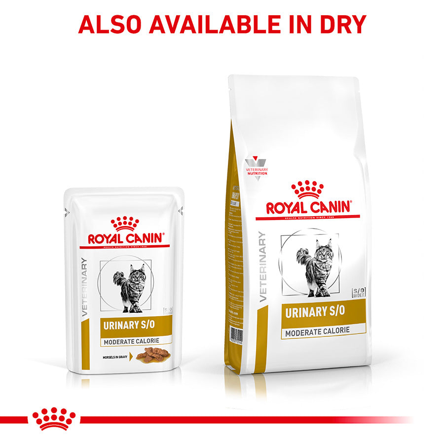 Royal Canin Veterinary Urinary S/O Moderate Calorie Adult Wet Cat Food 48x85g