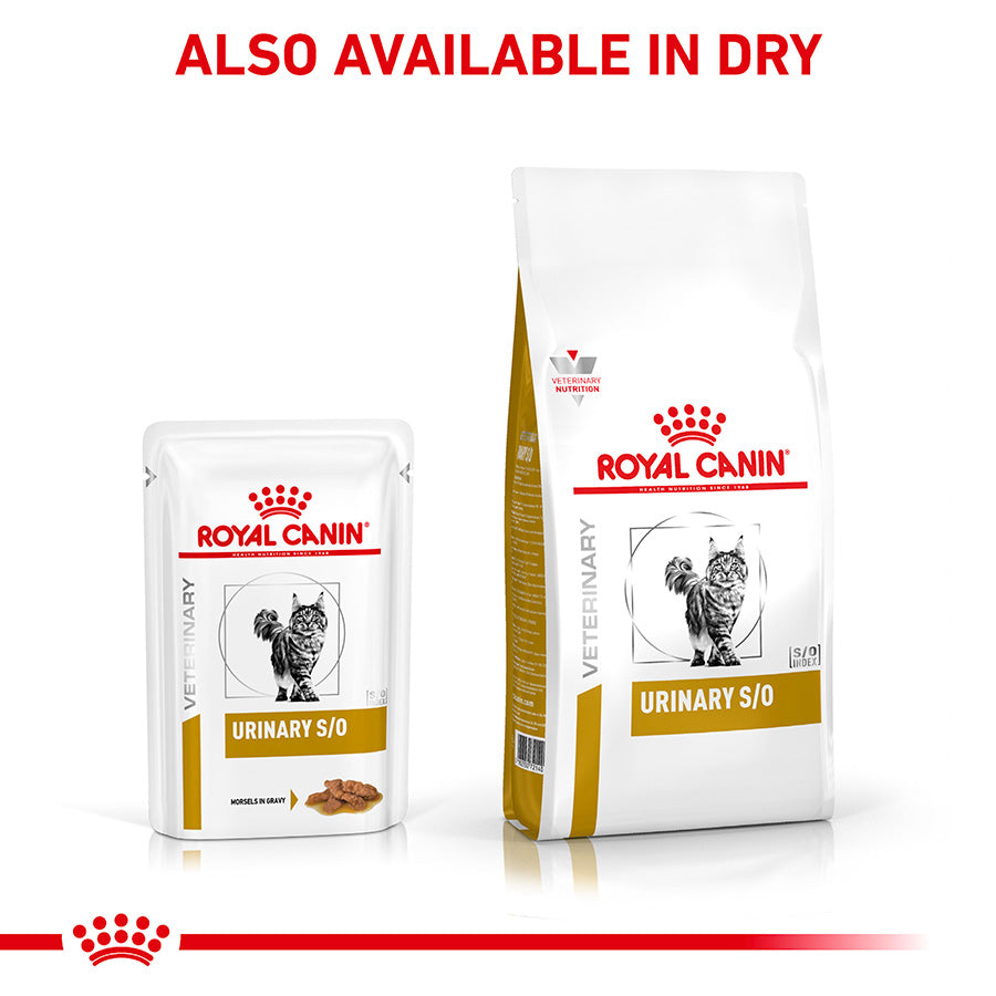 Royal Canin Veterinary Urinary S / O Adult Wet Cat Food in Gravy 48x85g