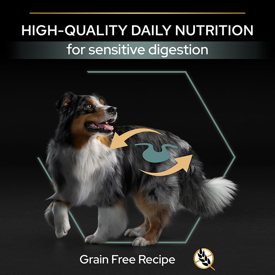 Pro Plan Grain Free Sensitive Digestion Adult Dry Dog Food Turkey 12kg