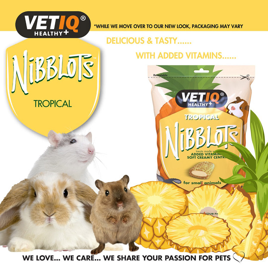 VetIQ Nibblots Tropical Small Animal Treats 30g