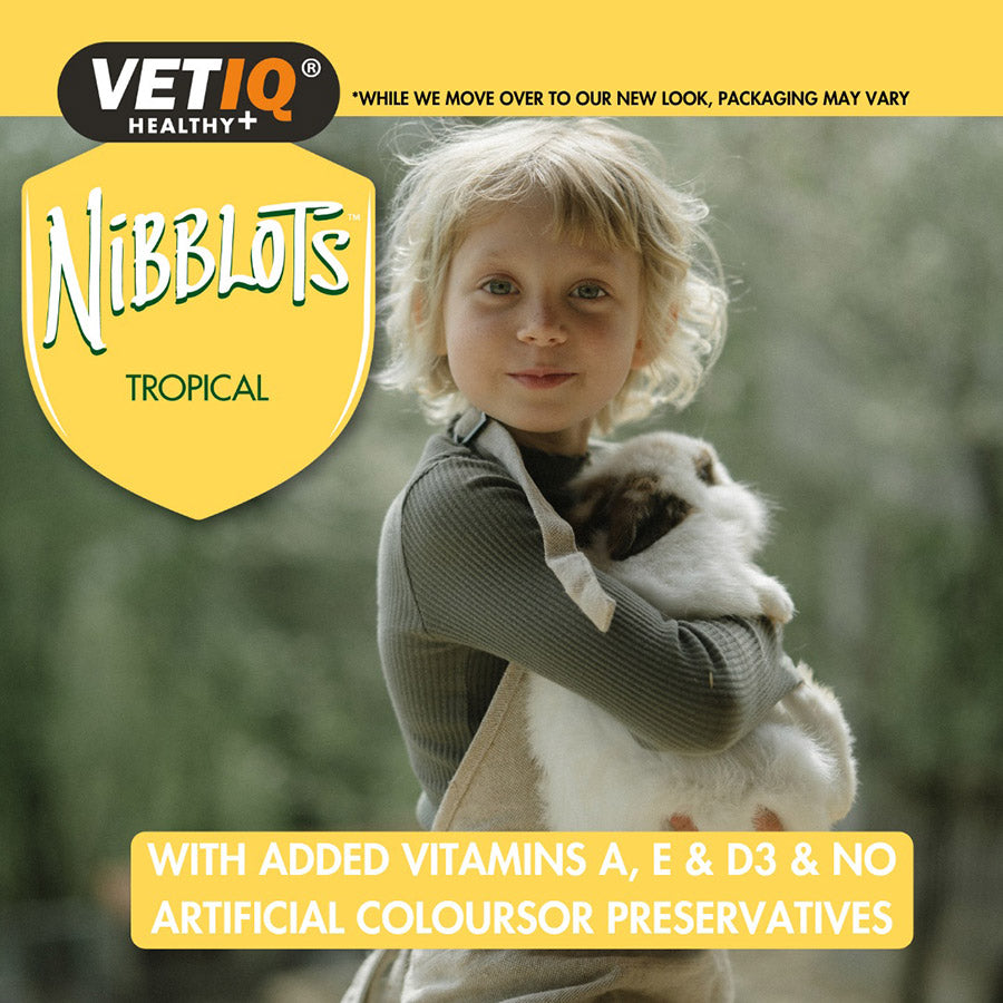 VetIQ Nibblots Tropical Small Animal Treats 30g
