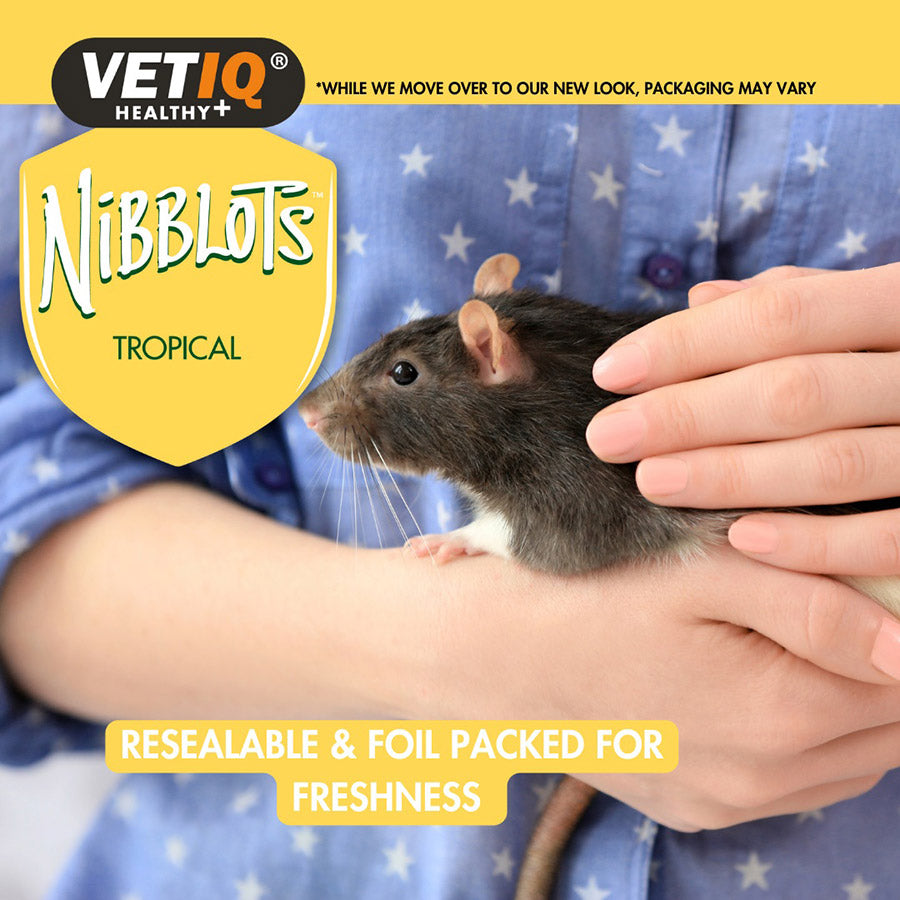 VetIQ Nibblots Tropical Small Animal Treats 30g
