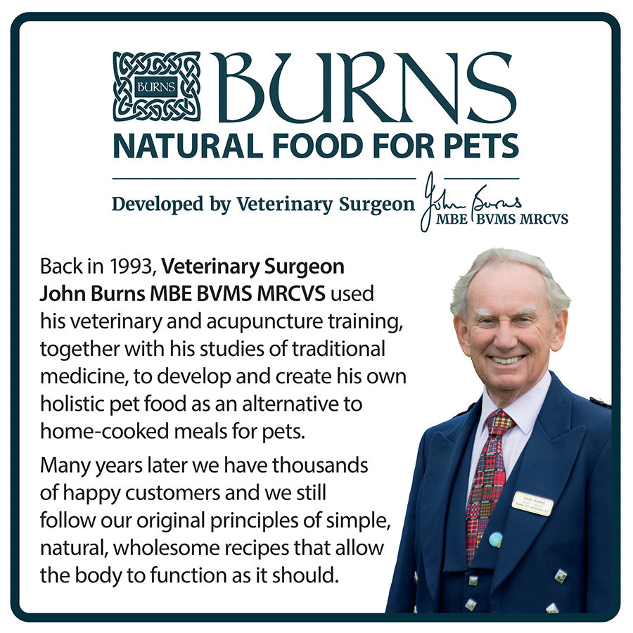 Burns Dry Dog Food Chicken & Brown Rice 12kg