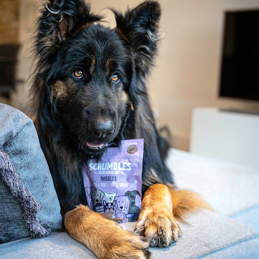 Scrumbles Nibbles Grain Free Natural Calming Dog Treats 100g