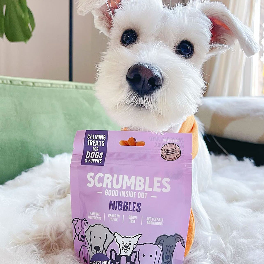 Scrumbles Nibbles Grain Free Natural Calming Dog Treats 100g