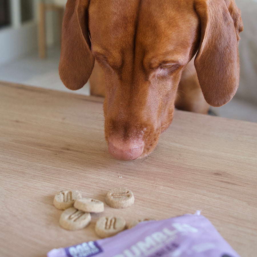 Scrumbles Nibbles Grain Free Natural Calming Dog Treats 100g