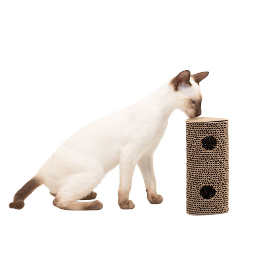 Willow's Scratch Play & Roll Cat Toy