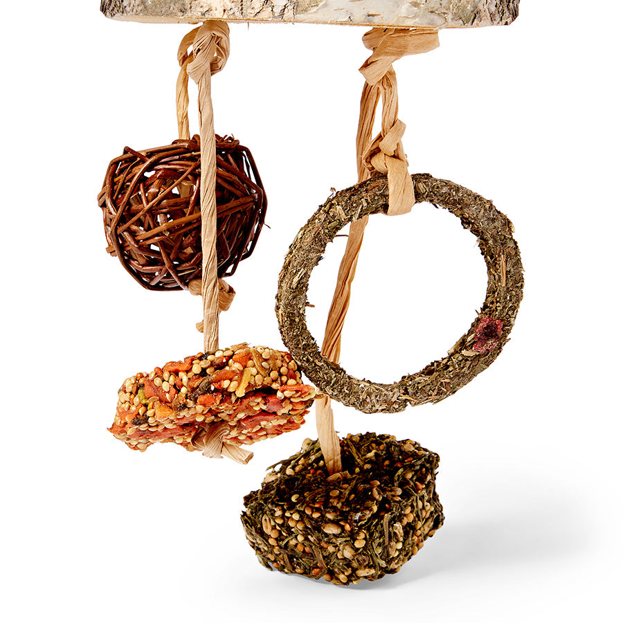 Woodlands Small Animal Snack Mobile Hanging Toy with Treats 100g