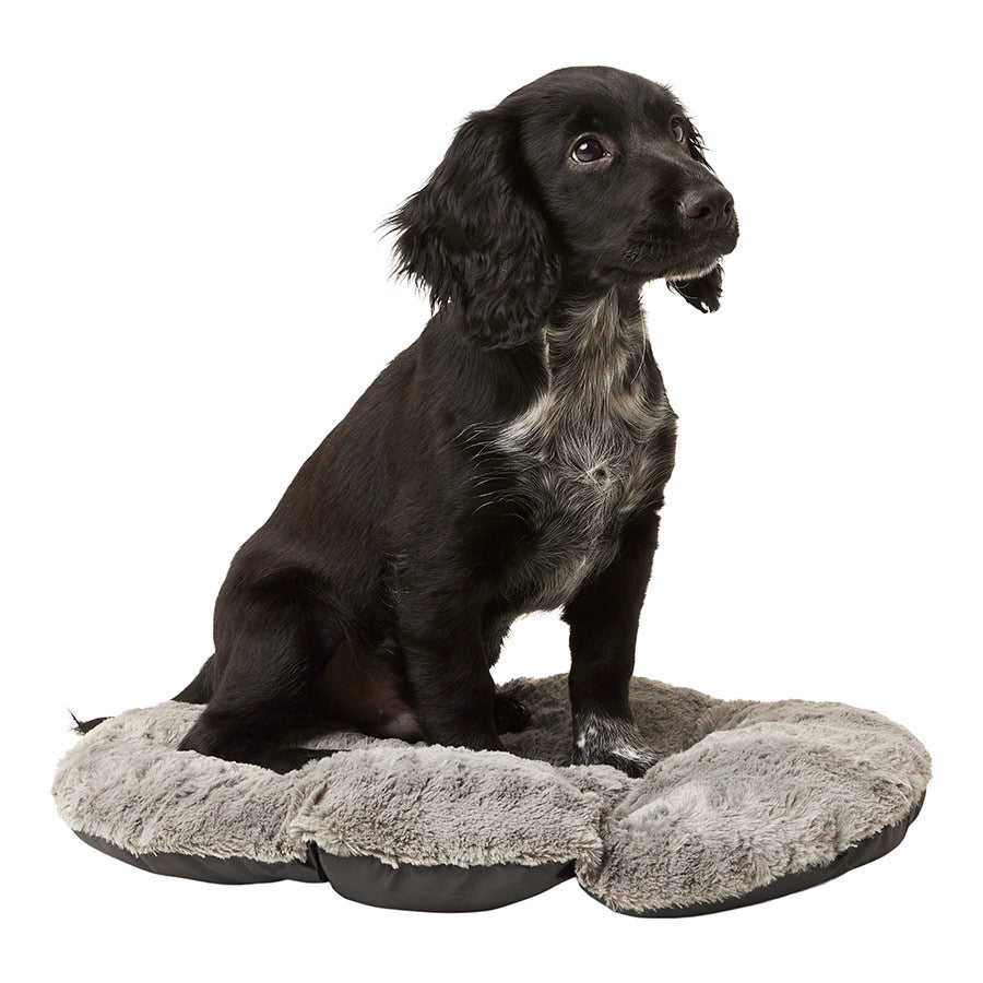 Pets at Home Oval Dog Bed Grey