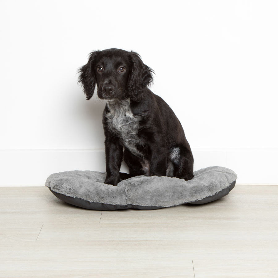 Pets at Home Oval Dog Bed Grey