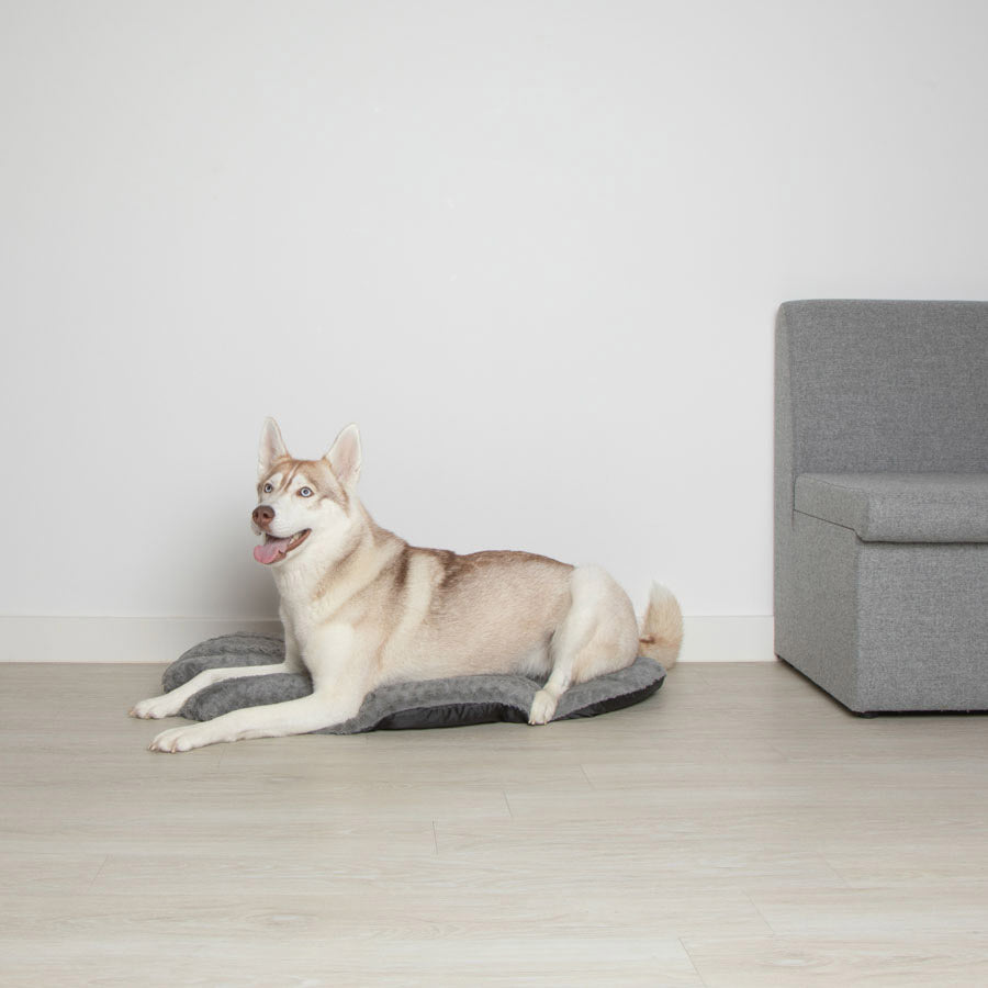 Pets at Home Oval Dog Bed Grey
