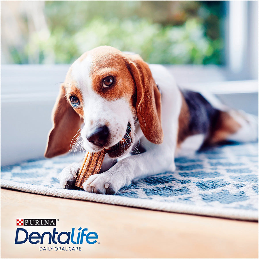 Dentalife Small Breed Adult Dog Dental Chew Sticks Chicken 54 Pack