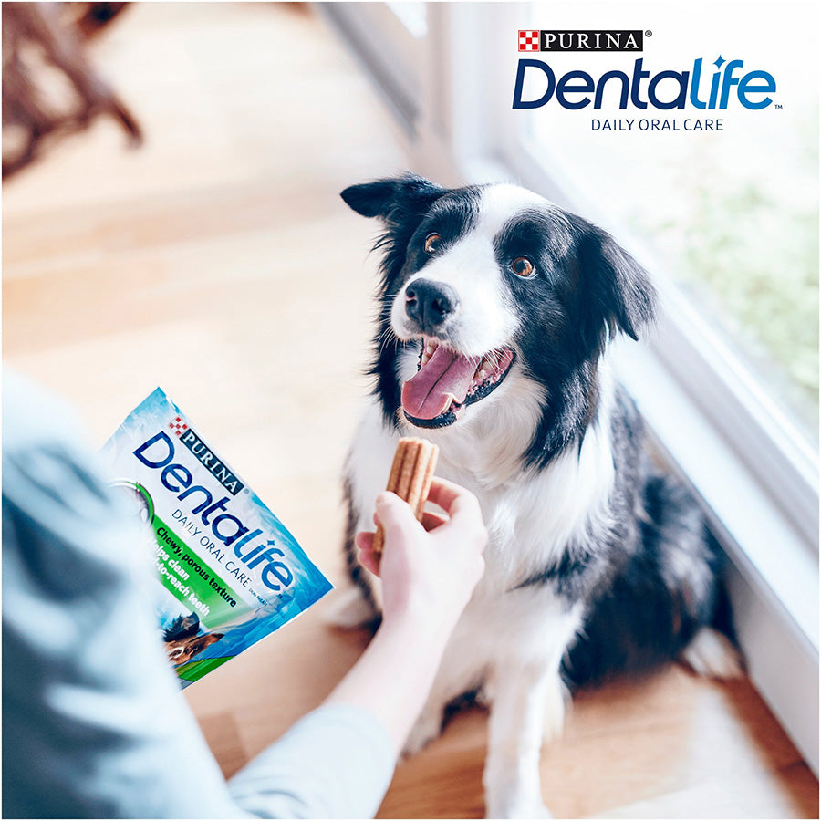 Dentalife Medium Breed Adult Dog Dental Chew Sticks Chicken 42 Pack