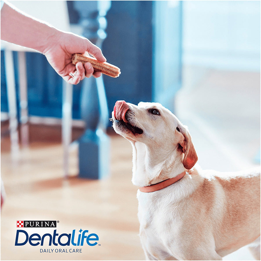 Dentalife Large Breed Adult Dog Dental Chew Sticks Chicken 36 Pack