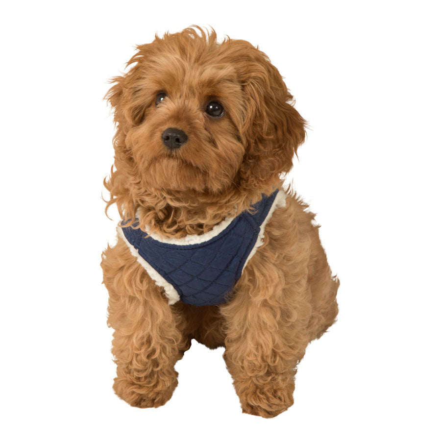 Pets at Home Quilted Shearling Dog Harness Blue