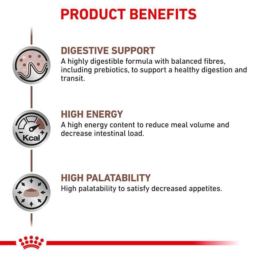 Royal Canin Veterinary Gastrointestinal Adult Wet Cat Food in Gravy 48x85g