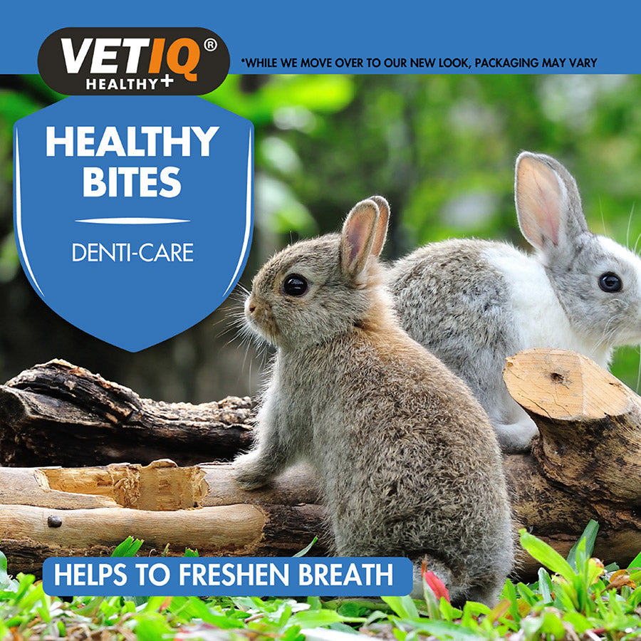VetIQ Healthy Bites Dental Treats Small Animals 30g