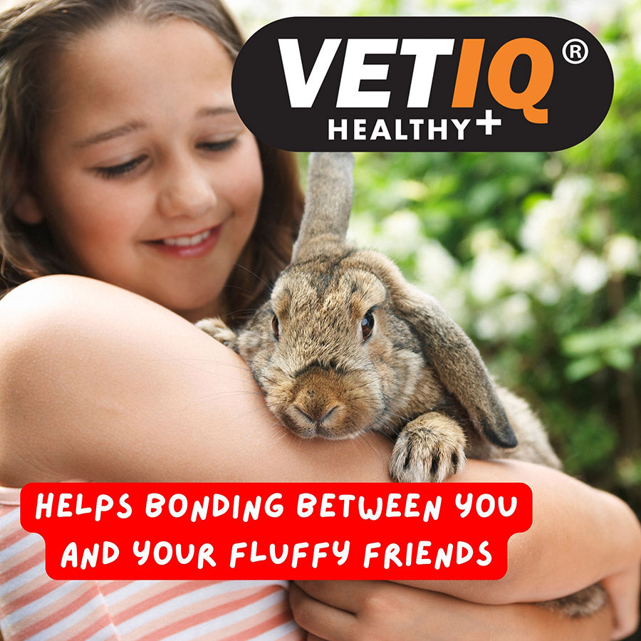 VetIQ Healthy Bites Dental Treats Small Animals 30g