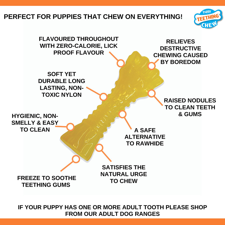 Nylabone Puppy Chill & Chew Toy Small