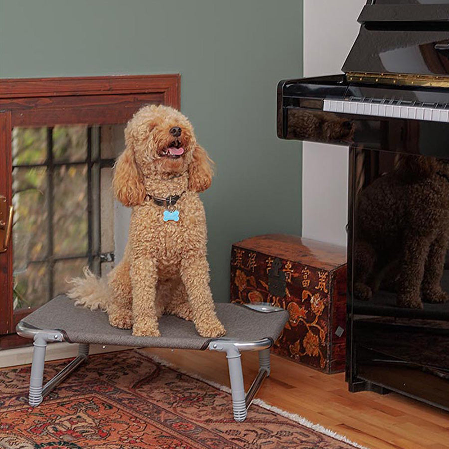 Ferplast Dream Folding Dog Bed Grey